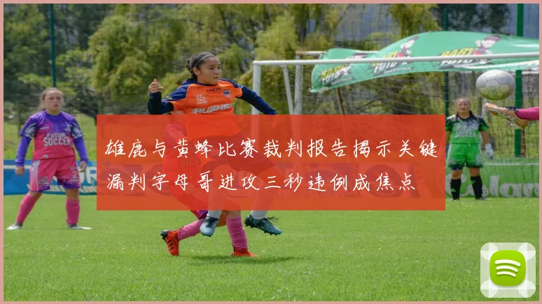 雄鹿与黄蜂比赛裁判报告揭示关键漏判字母哥进攻三秒违例成焦点